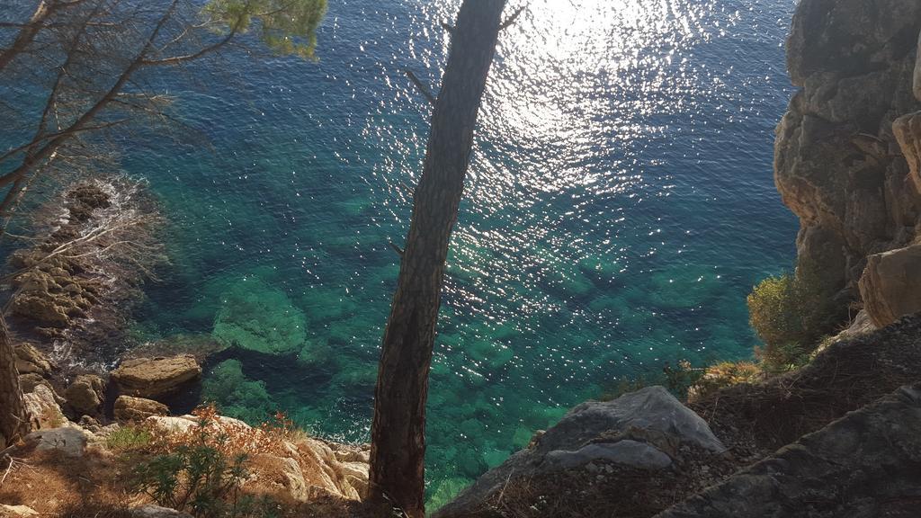 Apartments Tadic Petrovac Dış mekan fotoğraf