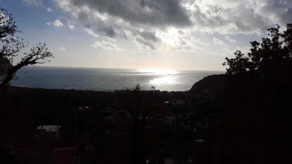 Apartments Tadic Petrovac Oda fotoğraf