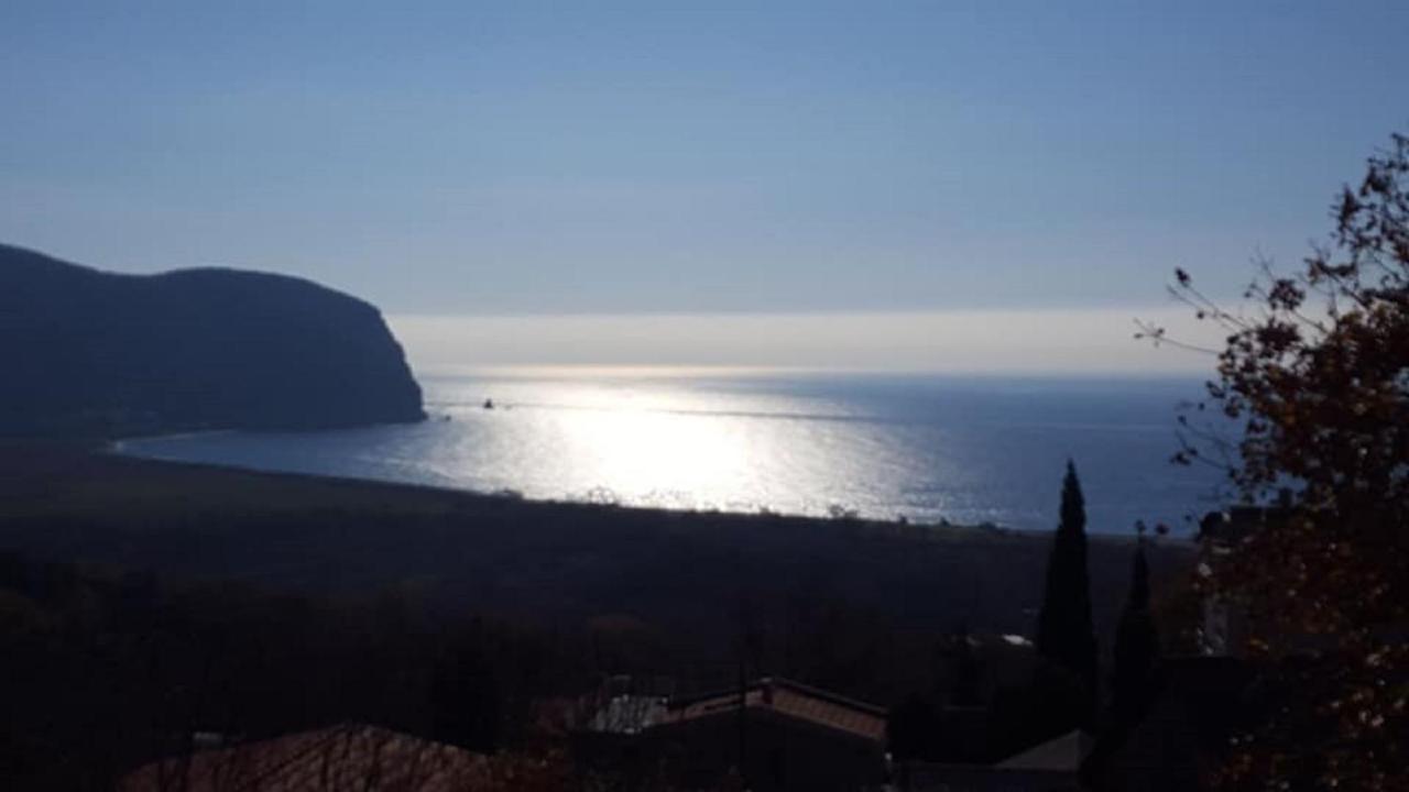 Apartments Tadic Petrovac Dış mekan fotoğraf